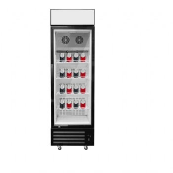 SD-305 Single Door Upright Freezer with Interior Light